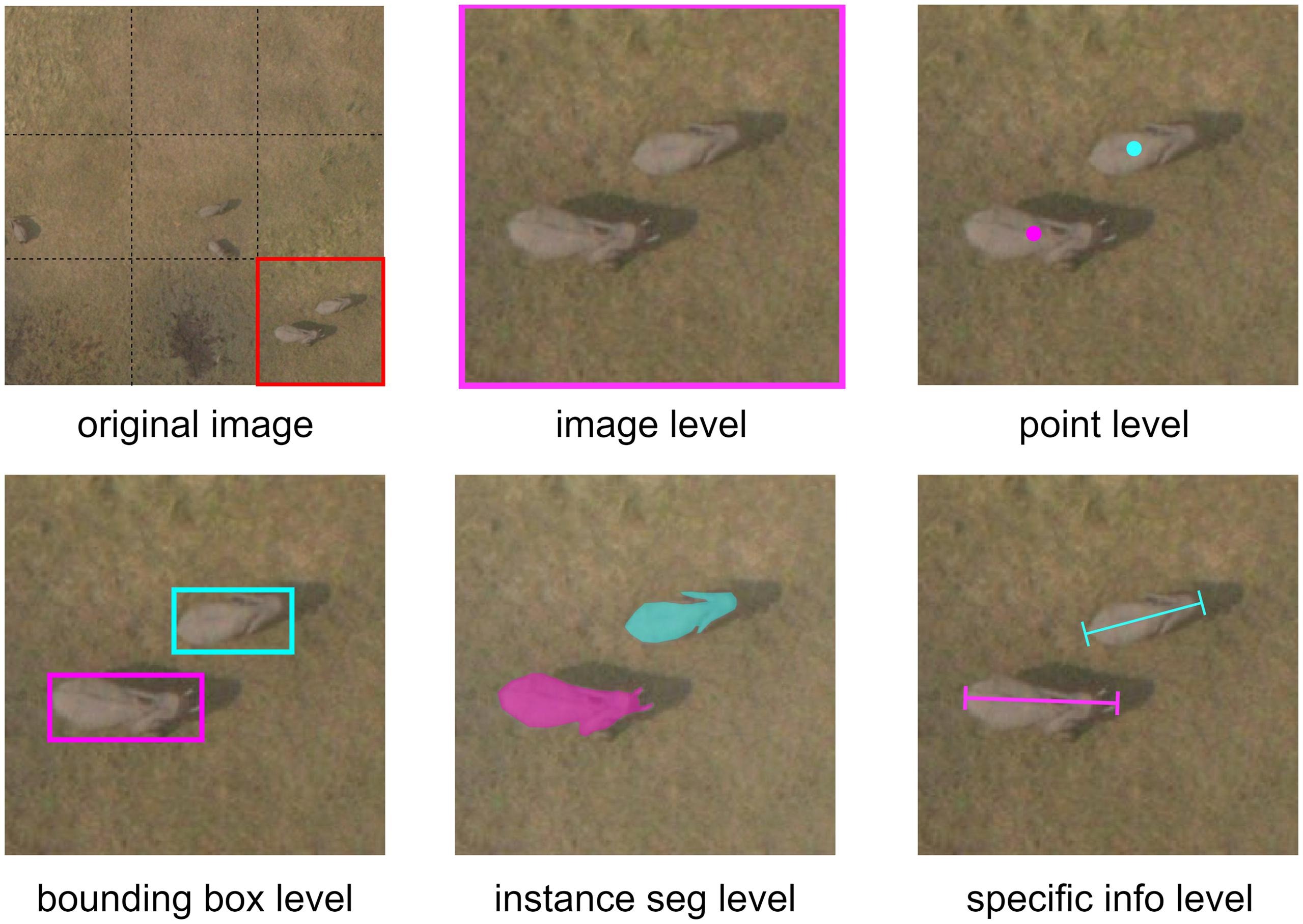 Example of airborne data annotations